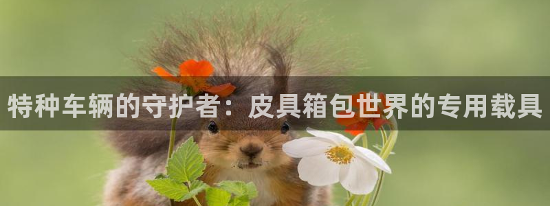 琳琅娱乐代理21192