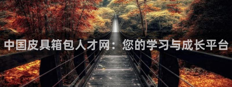 琳琅娱乐总代
