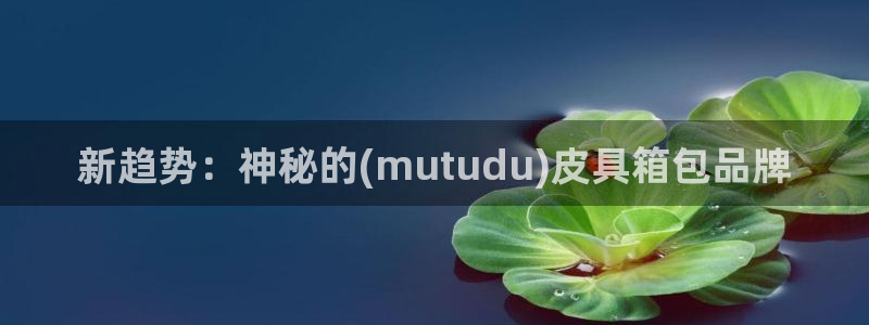 琳琅娱乐平台是真的吗知乎