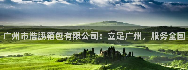 娱乐从琳琅榜开始的小说