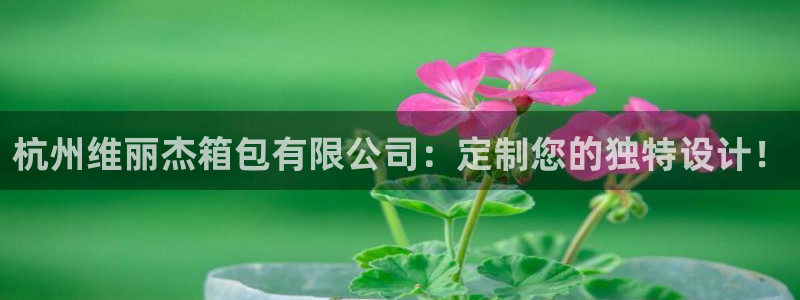 琳琅娱乐场所