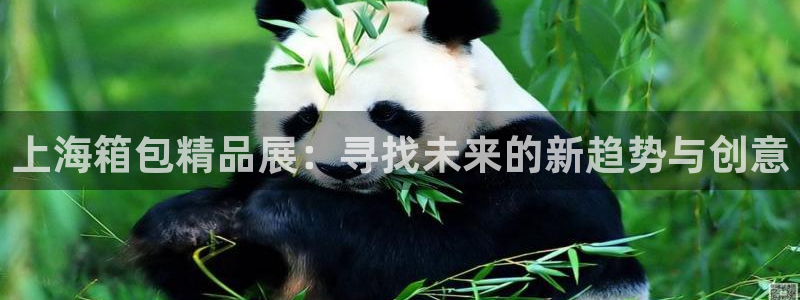 琳琅社区文艺娱乐