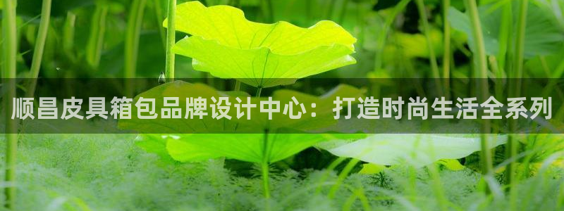 琳琅娱乐开户