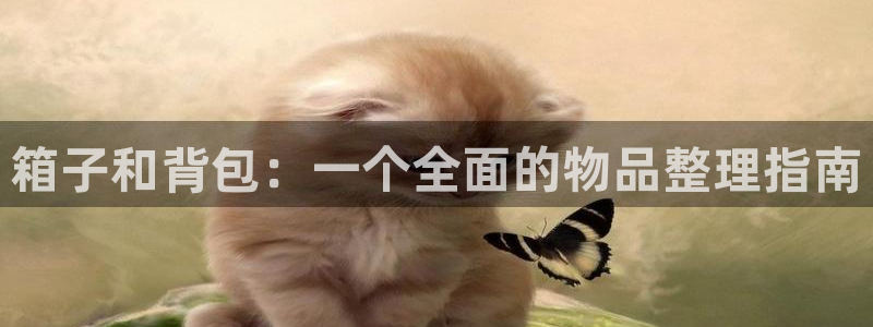 琳琅娱乐代理21192