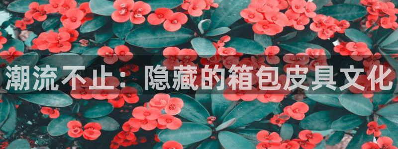 琳琅娱乐开户