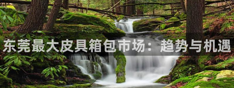 娱乐从琳琅榜开始的小说