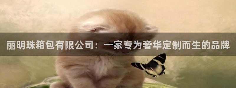 琳琅娱乐社区宅男