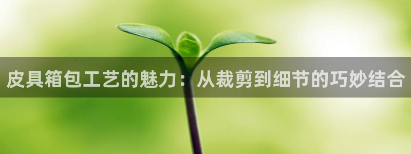 琳琅娱乐场所