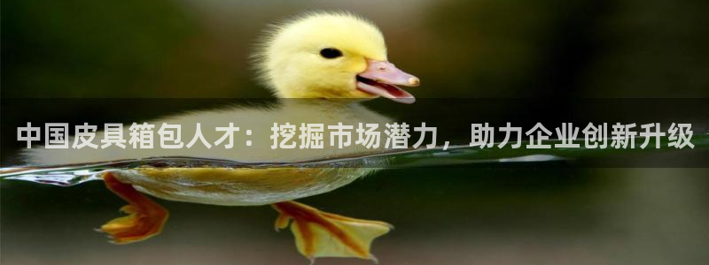 琳琅娱乐代理21192