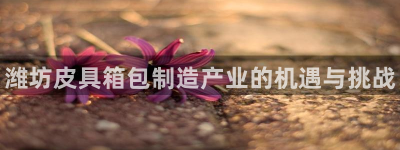 琳琅娱乐注册咋7O777