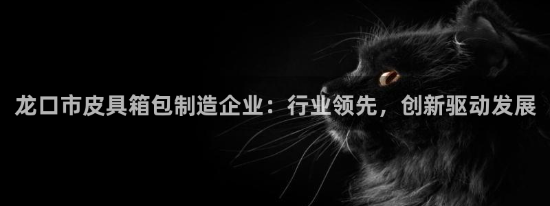 琳琅娱乐在线观看