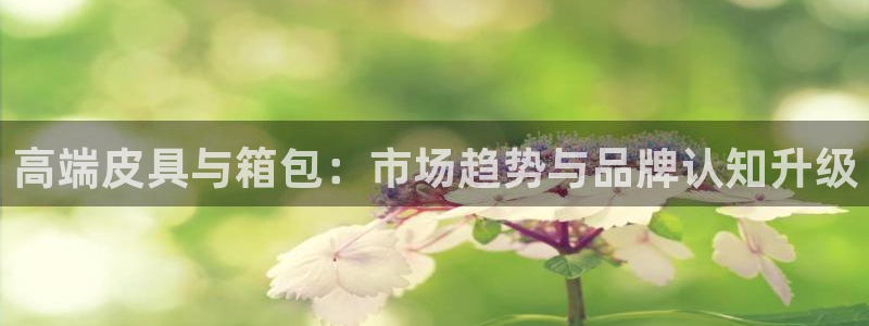 琳琅科技娱乐机器人下载