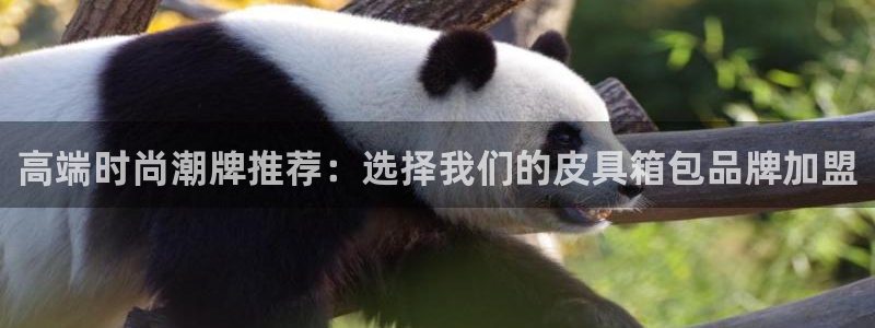 琳琅娱乐放心33300