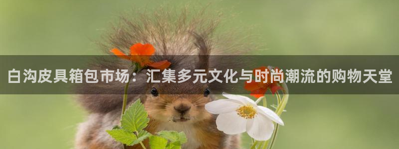 琳琅娱乐社区宅男