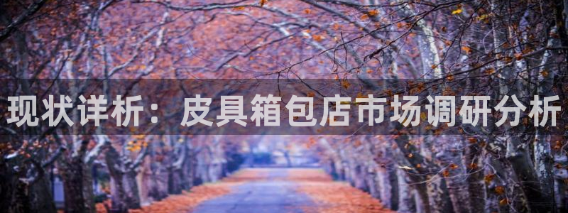 琳琅娱乐代理怎么做