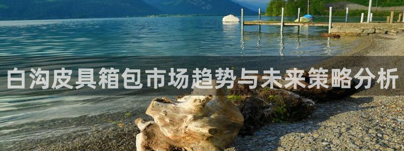 qq飞车琳琅娱乐组