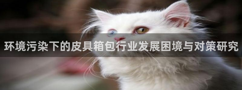 琳琅游戏娱乐