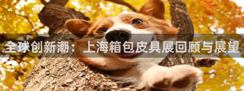 青娱娱乐琳琅导航