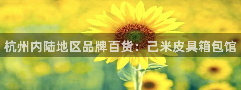 琳琅娱乐工作室