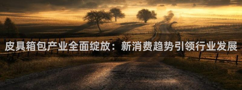 琳琅娱乐
