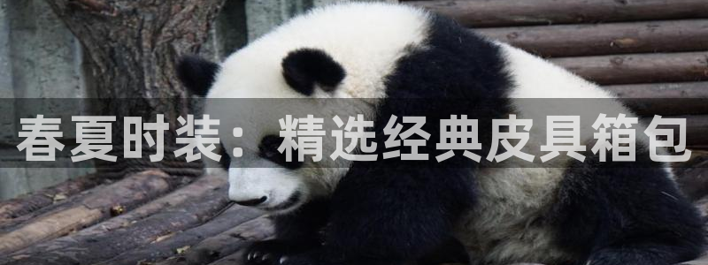 梧州琳琅娱乐城