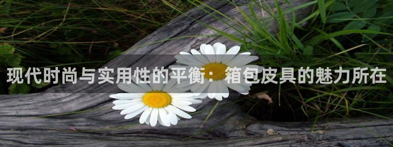琳琅娱乐主管是谁