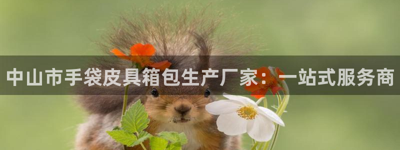琳琅娱乐组飞车