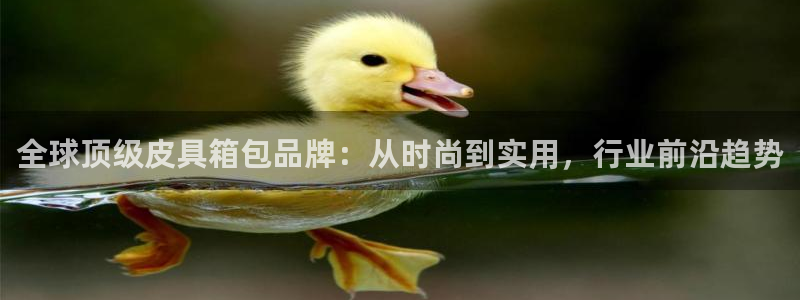 琳琅娱乐在哪直播的