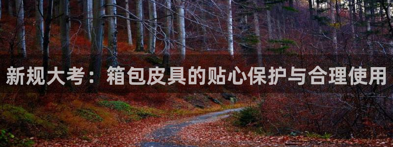 琳琅天上qq飞车娱乐