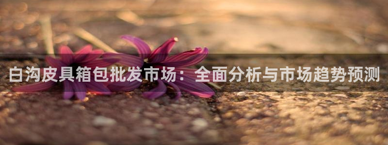 琳琅娱乐机器人