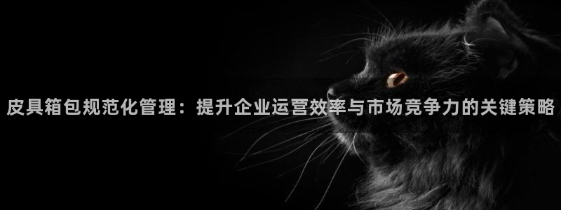 琳琅娱乐代理21192