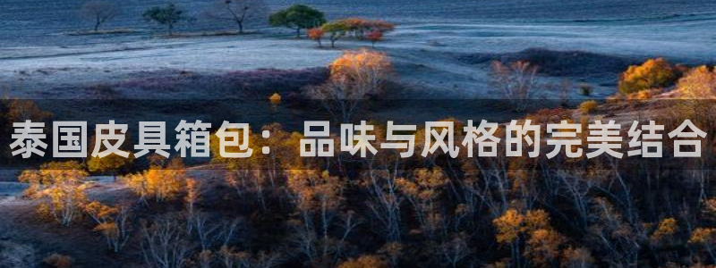 琳琅娱乐社区600