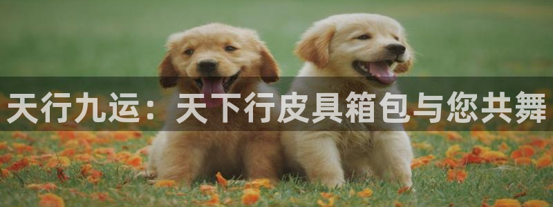 琳琅社区综艺文化娱乐