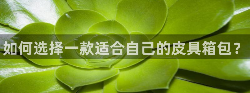 qq琳琅科技娱乐机器人