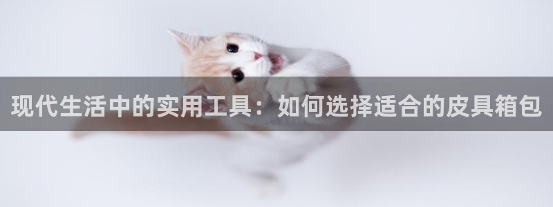 琳琅说娱乐