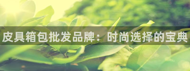 琳琅娱乐代理怎么做