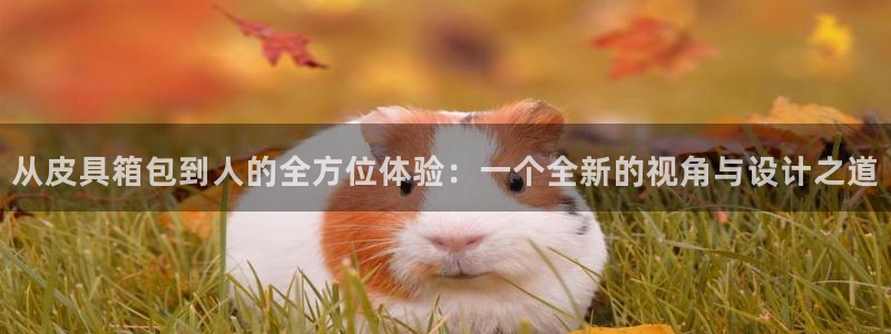 琳琅娱乐在哪直播的