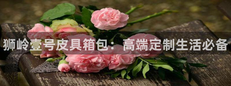 琳琅娱乐工作室地址查询