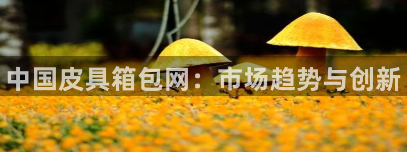 琳琅娱乐在线注册