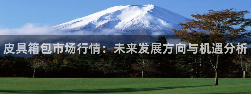 琳琅娱乐注册资金多少钱