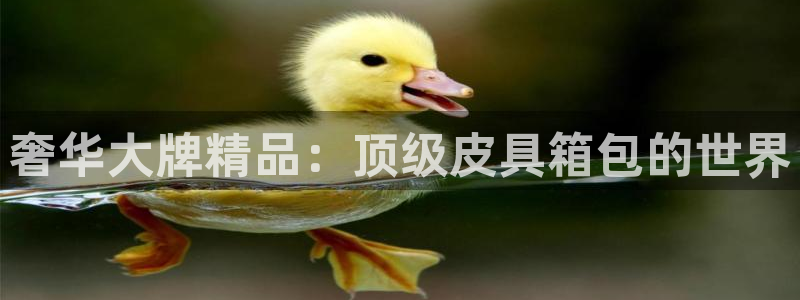 琳琅科技娱乐机器人插件