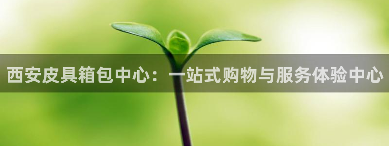 琳琅社区娱乐视频