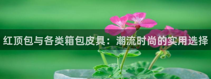 琳琅娱乐场所在哪里