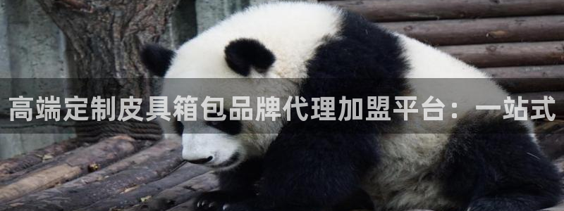 琳琅科技娱乐机器人教程