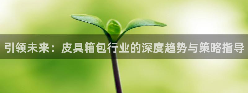 琳琅娱乐工作室招聘条件