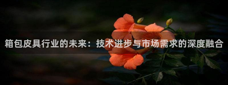 琳琅娱乐登入官网