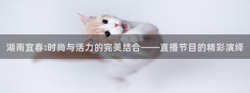 琳琅娱乐注册资金多少