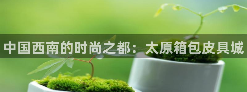 琳琅娱乐是什么