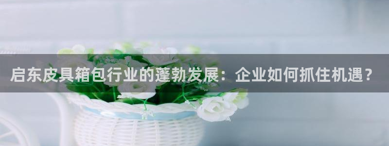 琳琅娱乐信誉33300