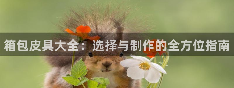 琳琅娱乐主管是谁